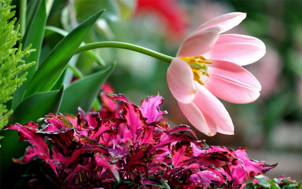 Spring 框架简介